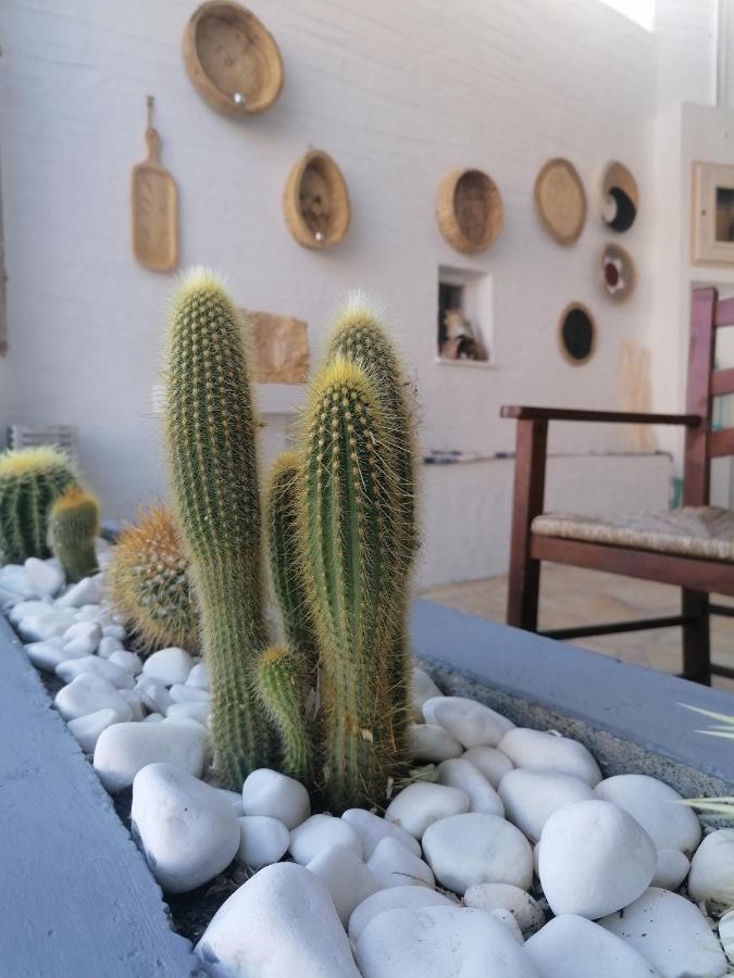 Afrodite Luxury Rooms Telendos Buitenkant foto